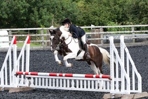 Class 3 -  Fences not above 2'3